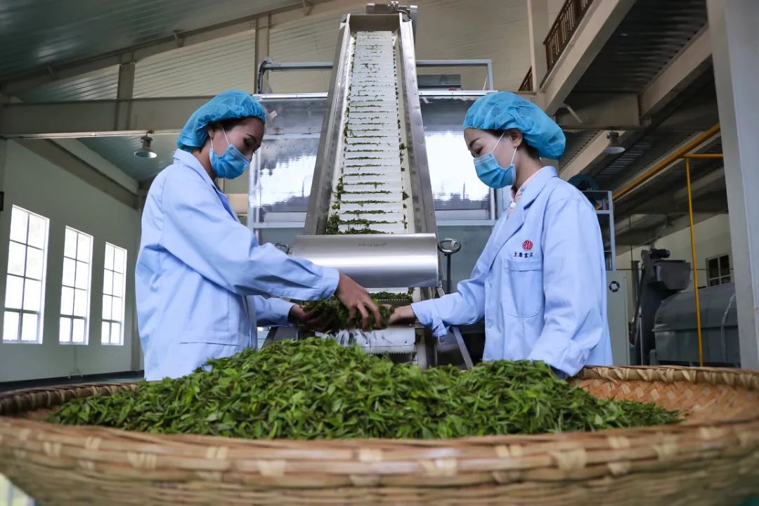 富硒茶对顾客的要求(富硒茶营销策划方案)-硒宝网