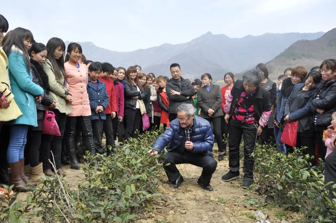 富硒茶对顾客的要求(富硒茶营销策划方案)-硒宝网