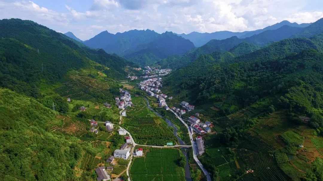 富硒茶对顾客的要求(富硒茶营销策划方案)-硒宝网