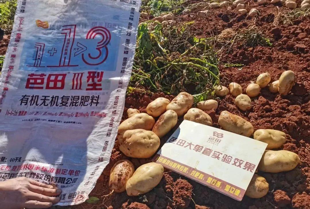 微量元素有哪几种(微量元素有好多种)-硒宝网