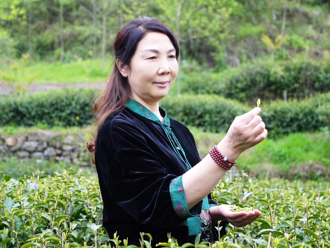 富硒茶对顾客的要求（富硒茶的国家标准）-硒宝网