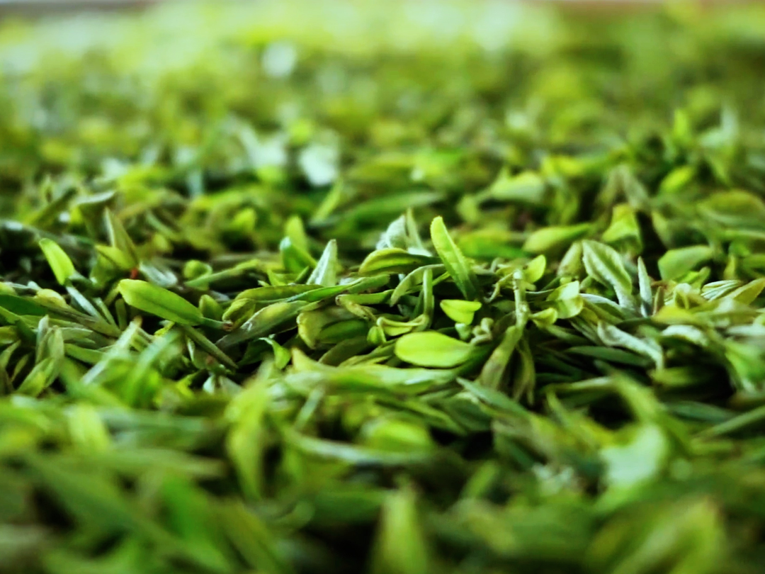 富硒茶对顾客的要求（富硒茶的国家标准）-硒宝网