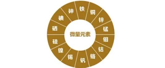 微量元素是哪些（微量元素是抽血还是扎手指）-硒宝网