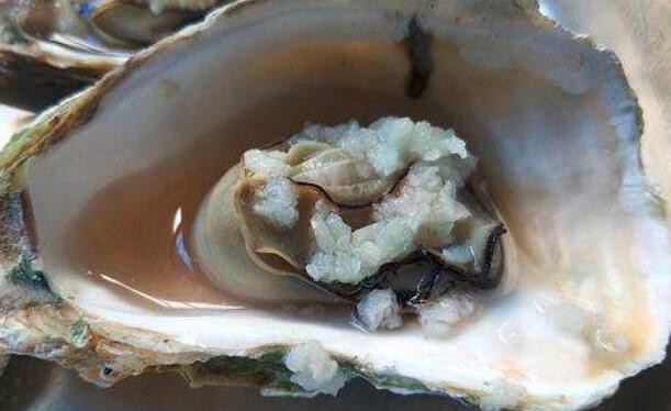 身体缺少微量元素吃什么（缺少微量元素吃啥）-硒宝网