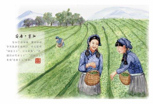 紫阳富硒茶的简笔画(紫阳富硒茶多少钱一斤)-硒宝网