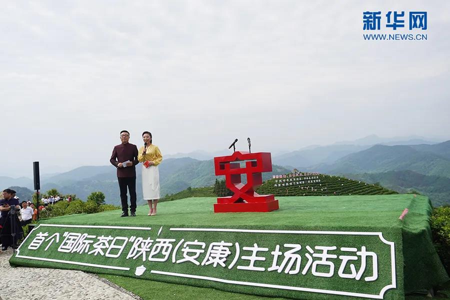 安康富硒茶哪里产的(安康富硒茶怎么样)-硒宝网