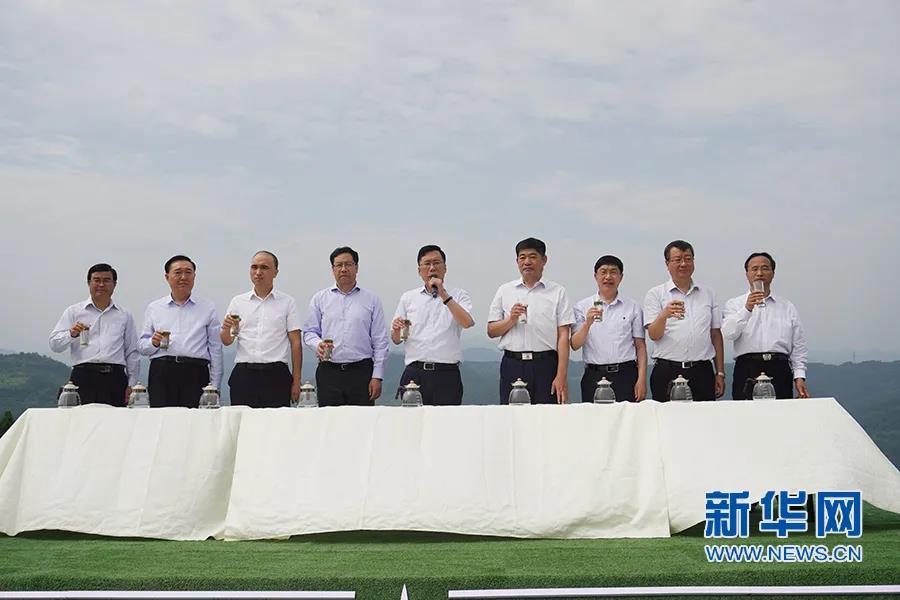 安康富硒茶哪里产的(安康富硒茶怎么样)-硒宝网