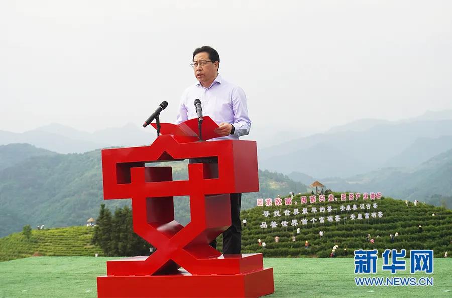 安康富硒茶哪里产的(安康富硒茶怎么样)-硒宝网