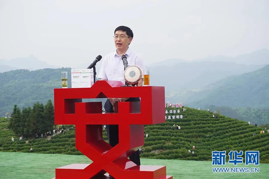 安康富硒茶哪里产的(安康富硒茶怎么样)-硒宝网