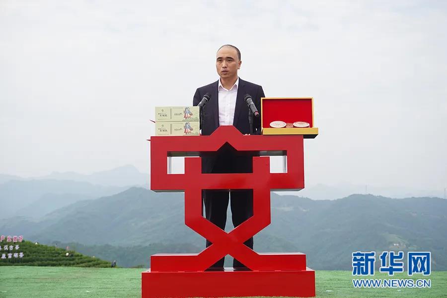 安康富硒茶哪里产的(安康富硒茶怎么样)-硒宝网