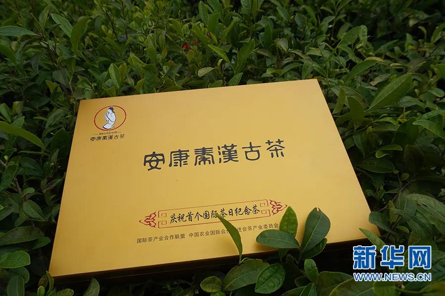 安康富硒茶哪里产的(安康富硒茶怎么样)-硒宝网