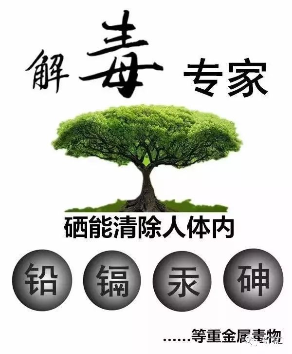人体必须的微量元素(人体微量元素口诀)-硒宝网