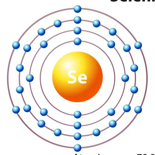 必需微量元素（必需微量元素口诀）-硒宝网