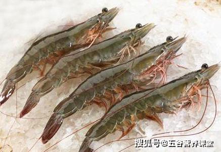 50多岁吃什么钙片补钙效果好(补钙吃钙片有效果吗)-硒宝网