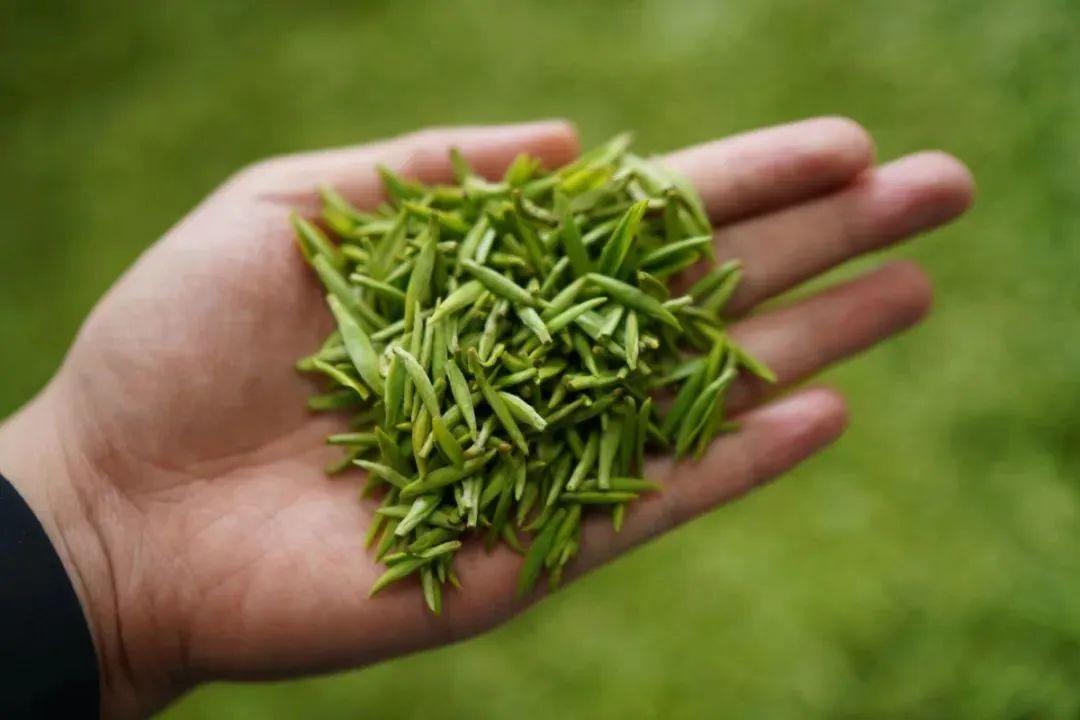 江苏富硒普洱茶供应(供应江苏茶普洱富硒茶的地方)-硒宝网