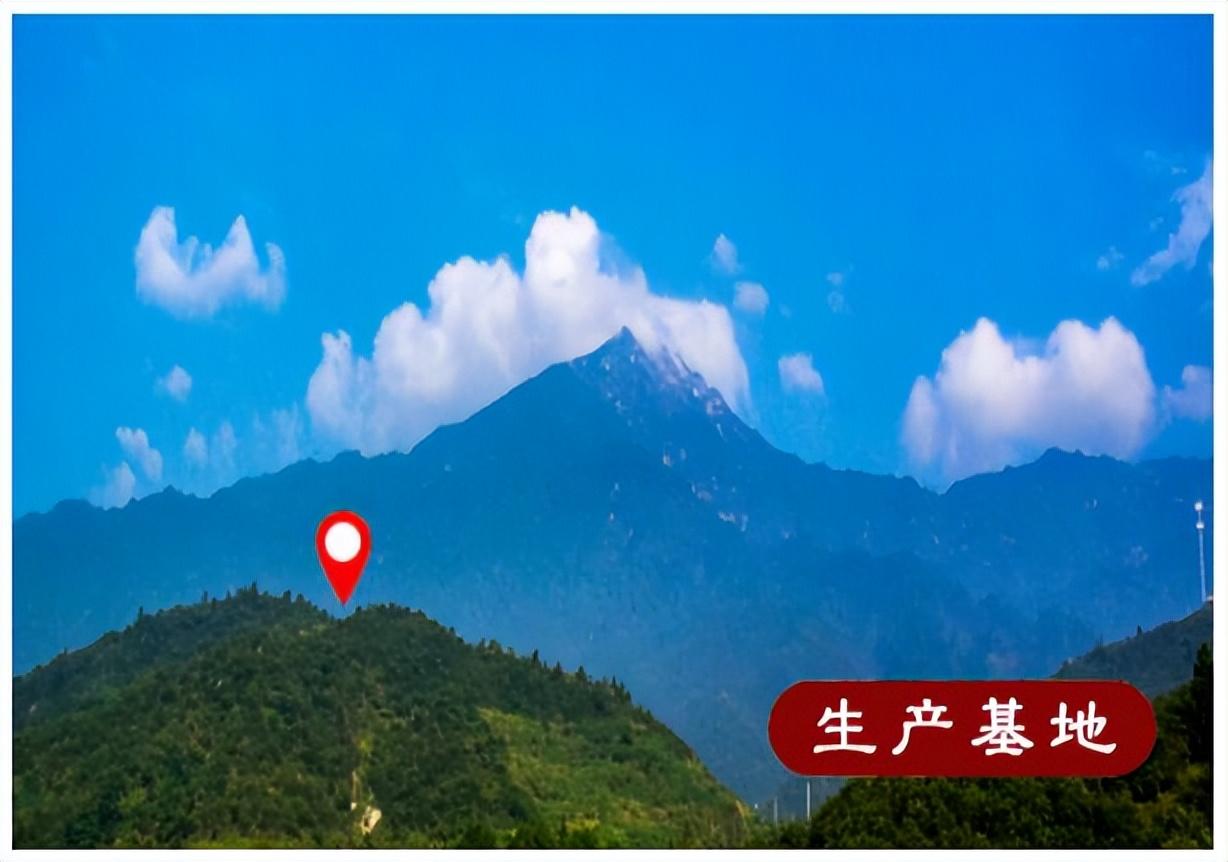 有哪些富硒茶品牌好(茶富硒品牌好有哪些牌子)-硒宝网