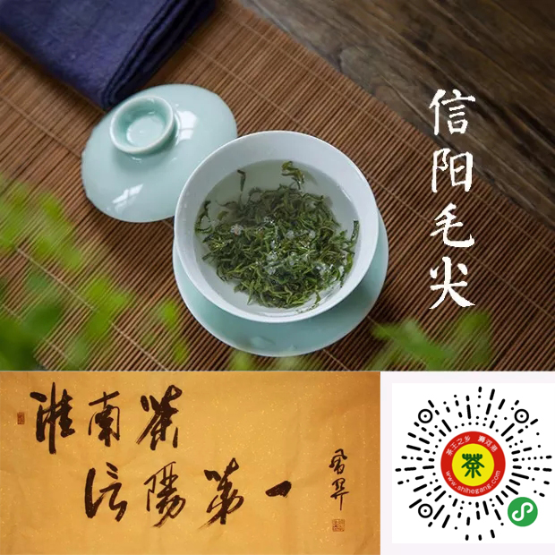 富硒茶和毛尖哪个好(富硒毛尖功效与作用)-硒宝网