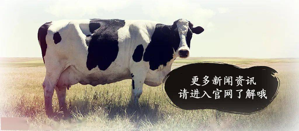 微量元素硒的作用（微量元素作用硒是什么）-硒宝网