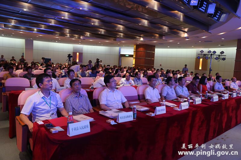 女娲茶叶是富硒茶吗(女娲峰牌富硒白茶)-硒宝网