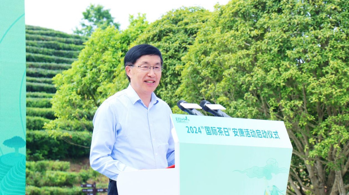 陕西安康富硒茶照片(安康产茶区主要在什么地方)-硒宝网