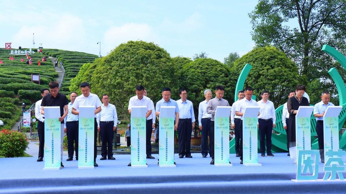 陕西安康富硒茶照片(安康产茶区主要在什么地方)-硒宝网