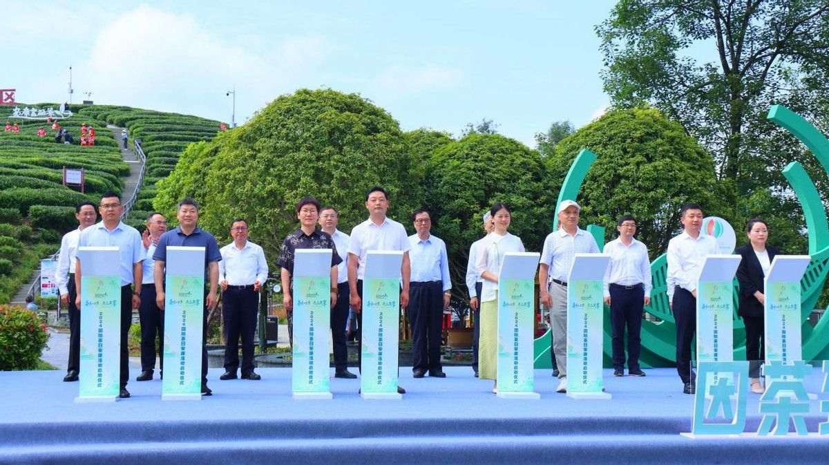 陕西安康富硒茶照片(安康产茶区主要在什么地方)-硒宝网