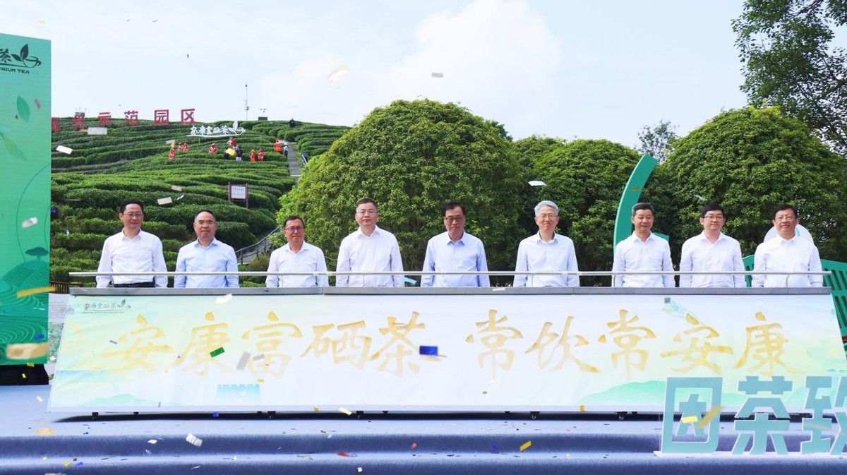 陕西安康富硒茶照片(安康产茶区主要在什么地方)-硒宝网