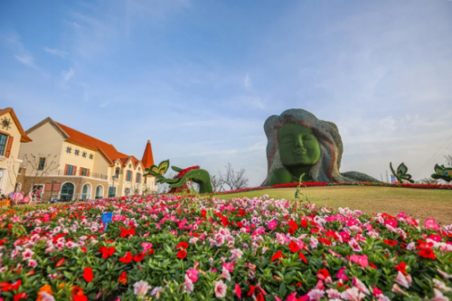和天下52度富硒茶(茶天下有限公司)-硒宝网