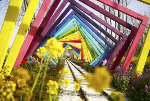 和天下52度富硒茶(茶天下有限公司)-硒宝网