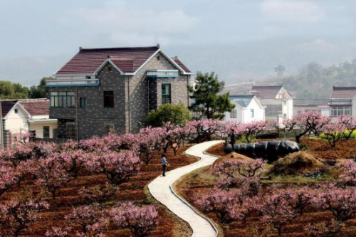 和天下52度富硒茶(茶天下有限公司)-硒宝网