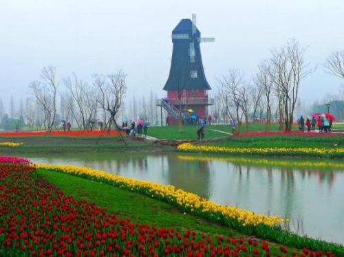 和天下52度富硒茶(茶天下有限公司)-硒宝网