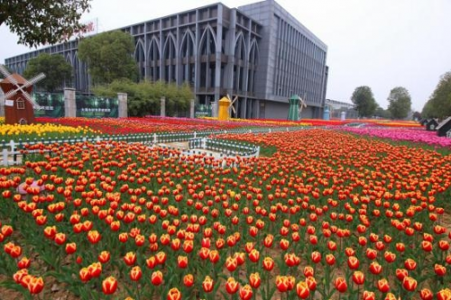 和天下52度富硒茶(茶天下有限公司)-硒宝网