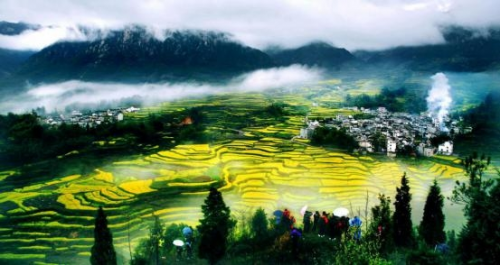 和天下52度富硒茶(茶天下有限公司)-硒宝网