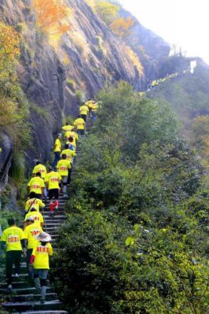 和天下52度富硒茶(茶天下有限公司)-硒宝网