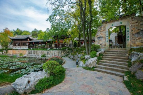 和天下52度富硒茶(茶天下有限公司)-硒宝网