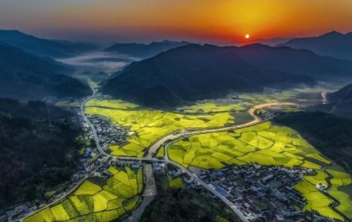 和天下52度富硒茶(茶天下有限公司)-硒宝网