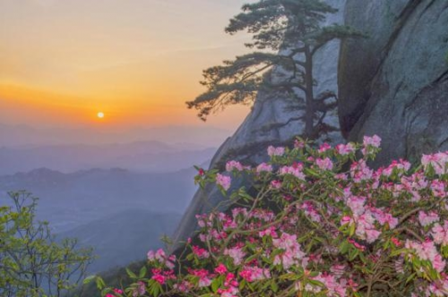 和天下52度富硒茶(茶天下有限公司)-硒宝网