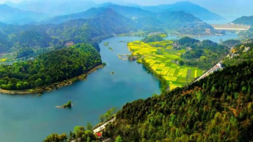 和天下52度富硒茶(茶天下有限公司)-硒宝网