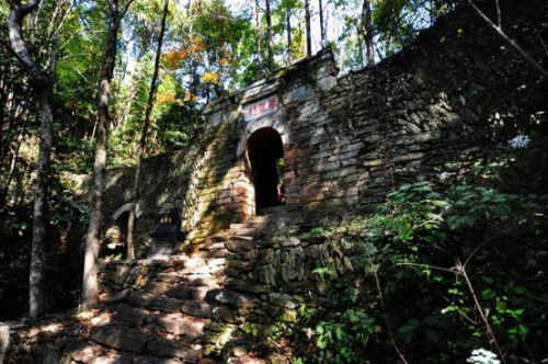 和天下52度富硒茶(茶天下有限公司)-硒宝网