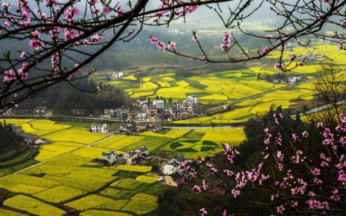 和天下52度富硒茶(茶天下有限公司)-硒宝网
