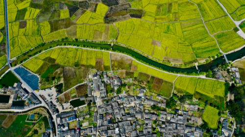 和天下52度富硒茶(茶天下有限公司)-硒宝网