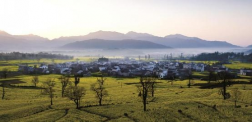 和天下52度富硒茶(茶天下有限公司)-硒宝网