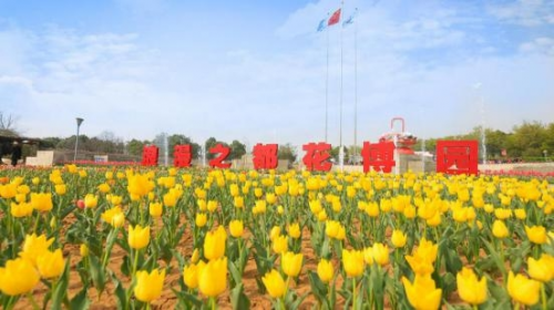 和天下52度富硒茶(茶天下有限公司)-硒宝网