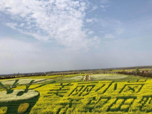 和天下52度富硒茶(茶天下有限公司)-硒宝网