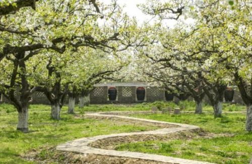 和天下52度富硒茶(茶天下有限公司)-硒宝网
