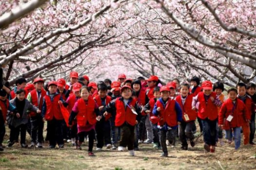 和天下52度富硒茶(茶天下有限公司)-硒宝网