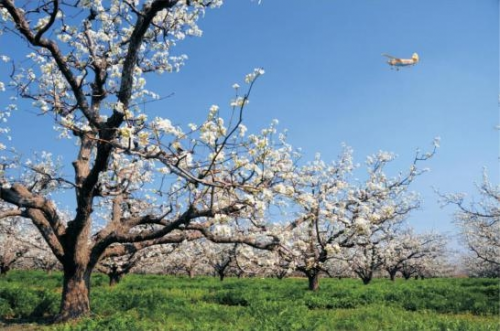 和天下52度富硒茶(茶天下有限公司)-硒宝网