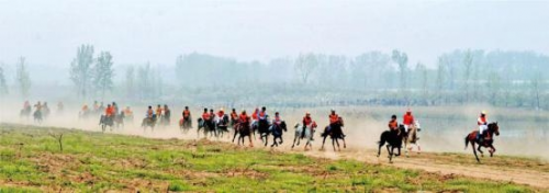 和天下52度富硒茶(茶天下有限公司)-硒宝网