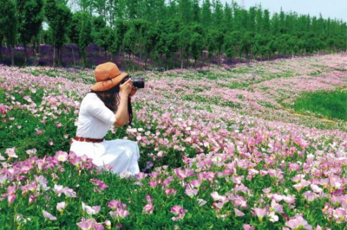 和天下52度富硒茶(茶天下有限公司)-硒宝网