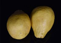 恩施富硒茶叶花枝茶（恩施花枝茶价格）-硒宝网